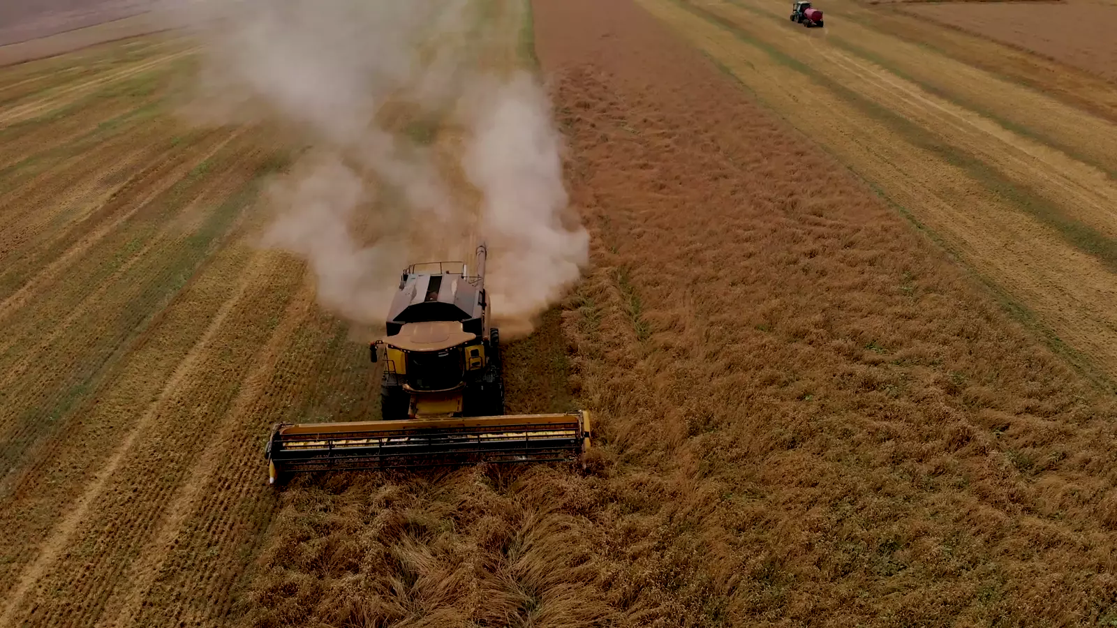 A combine harvester working a cereal field, seen from above