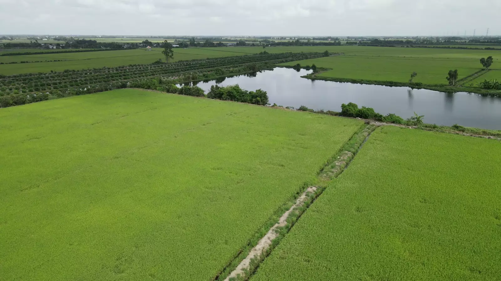 Green fields next to a canal, seen from the air